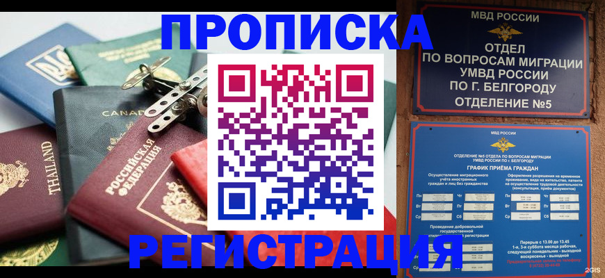 временная регистрация недорого в Адыгейске